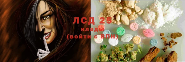 крисы Заводоуковск