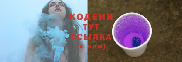крисы Заводоуковск