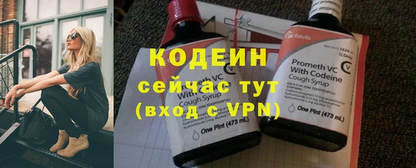крисы Заводоуковск